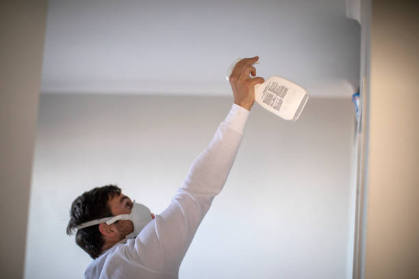Best Mold Removal and Inspection  in Gamewell, NC