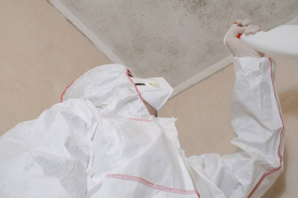 Best Local Mold Removal Service  in Gamewell, NC