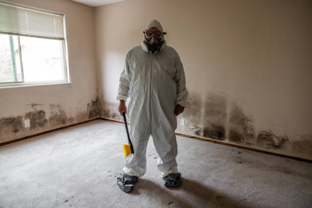 Mold Removal and Inspection in Gamewell, NC